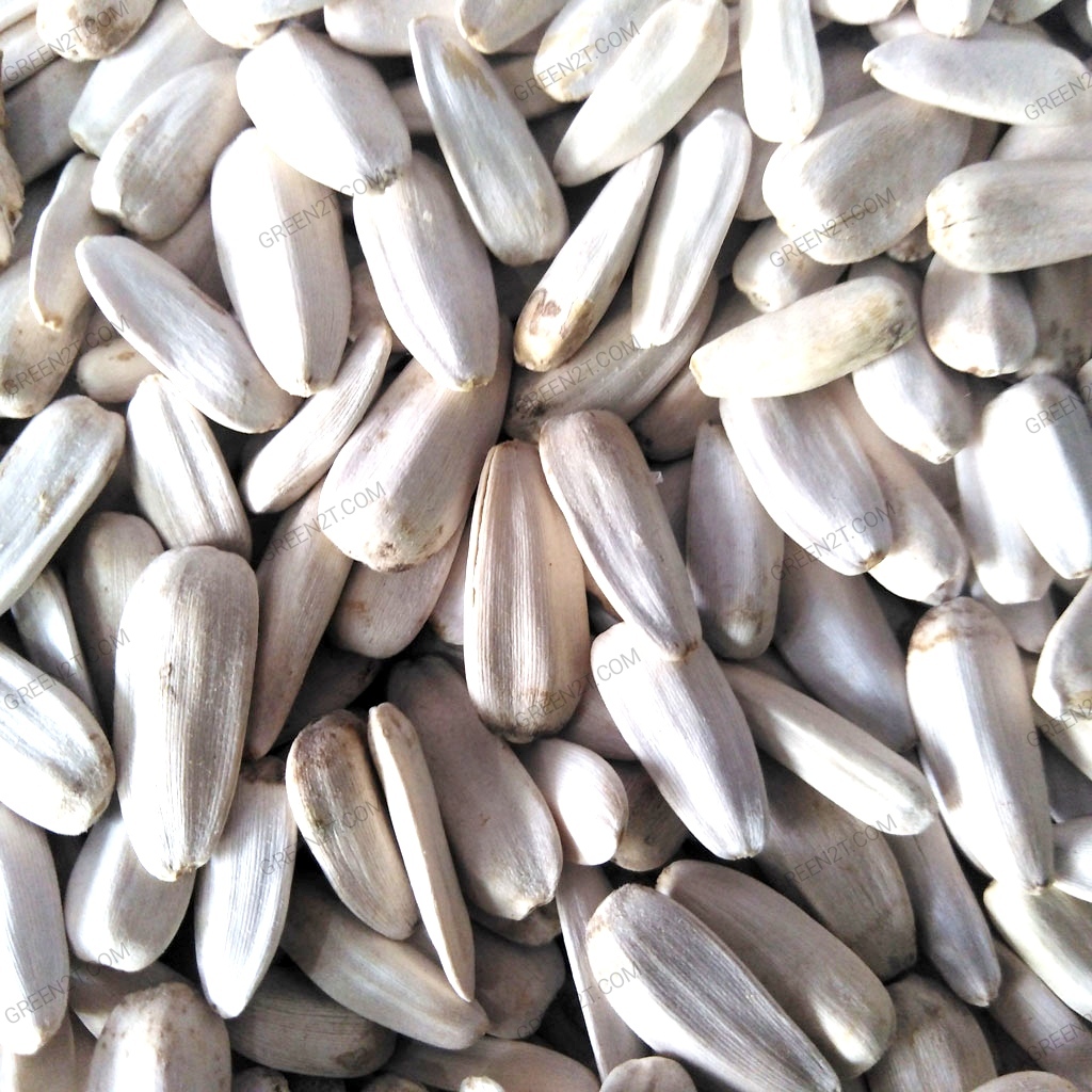 تخمه سفید - کیلویی ۴۰۰ هزار تومان (کیسه ۳۰ کیلویی)