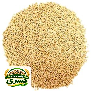 ارزن ریز بیرجند - کیلویی ۱۳۰ هزار تومان (کیسه ۳۰ کیلویی)